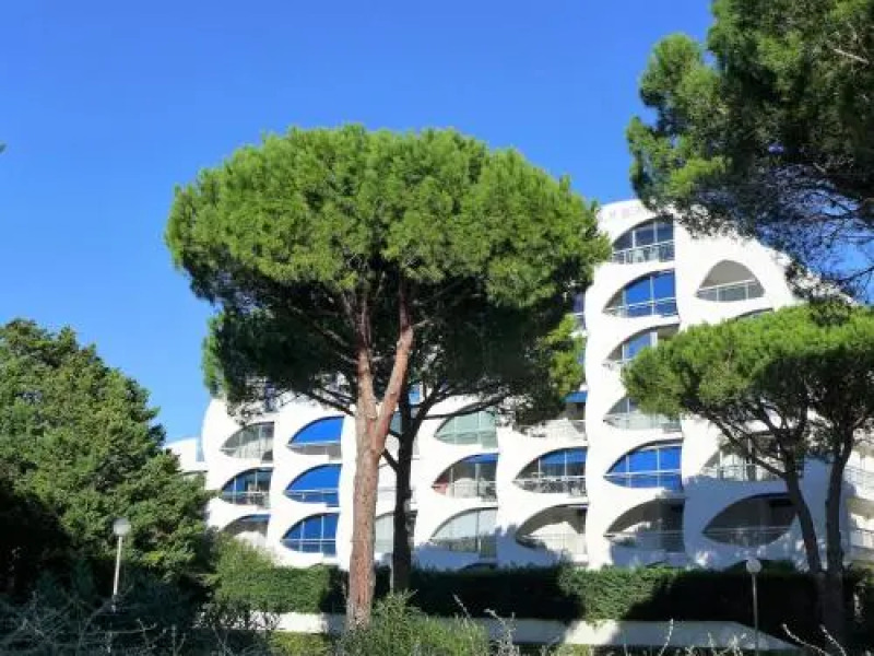 Apartment Palm Beach.1