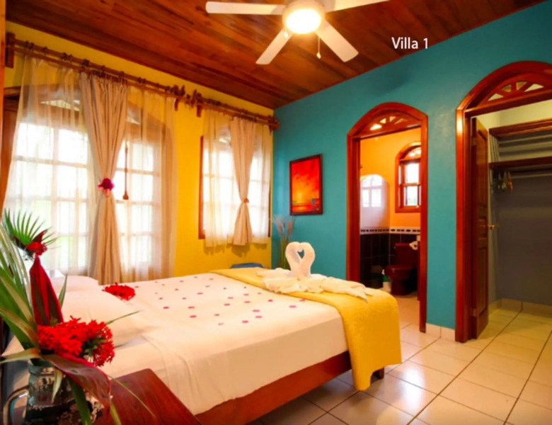 Jungle's Edge: Jiu-Jitsu, Muay Thai & Yoga Retreats