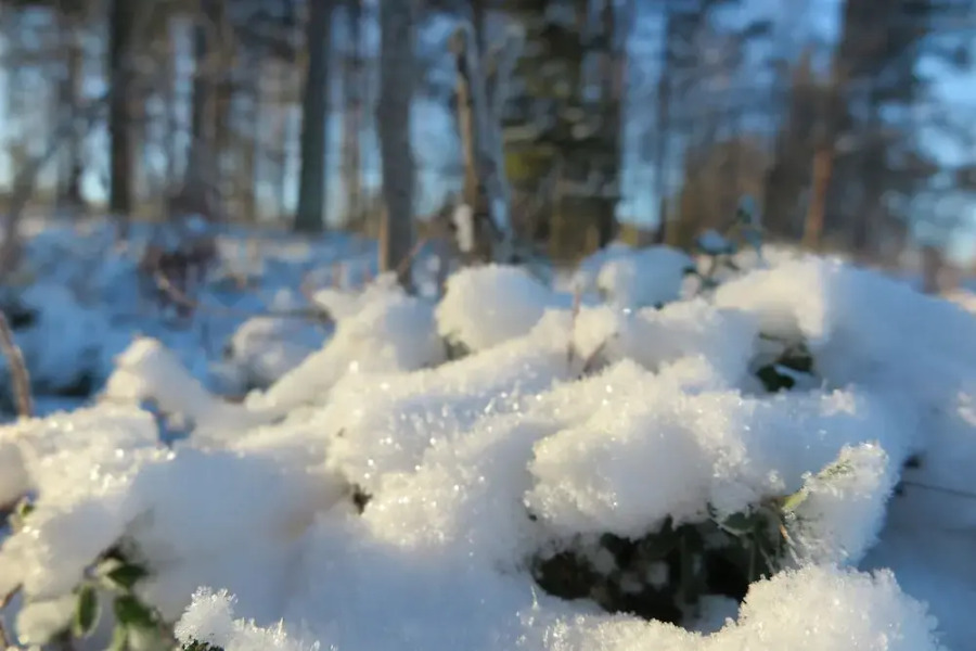 Lapland Getaway - Hostel