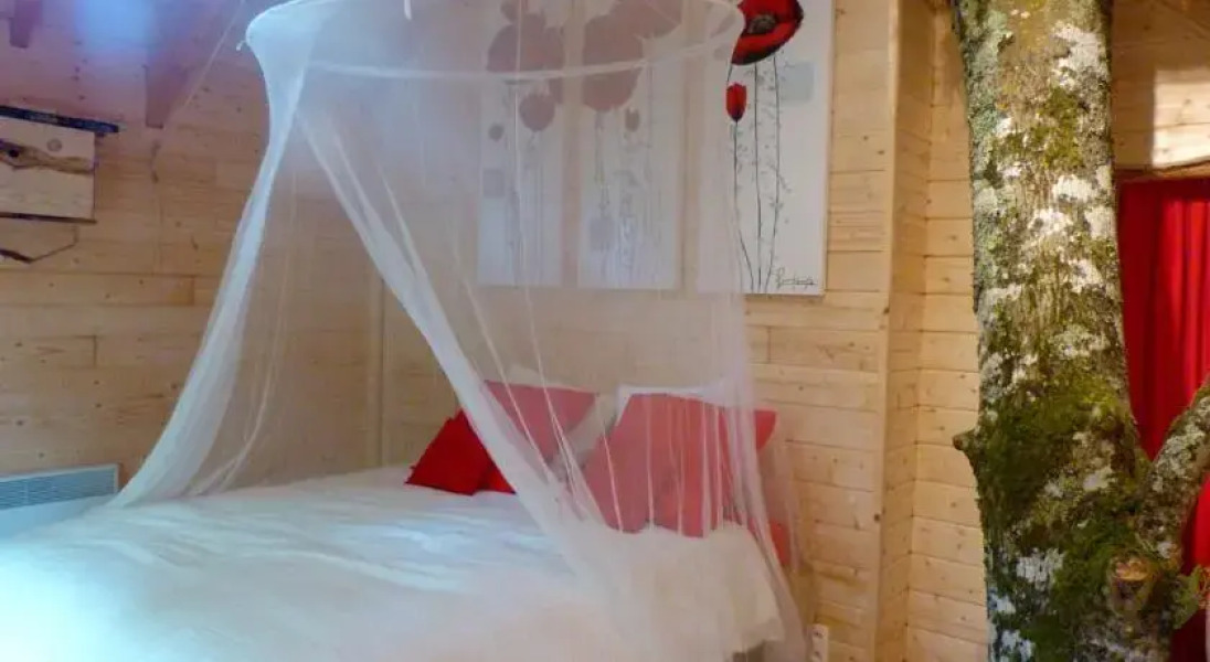 Le Carbet des Chouettes