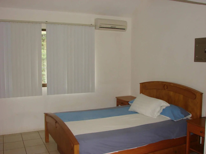 Green Forest of Coco Beach Studios