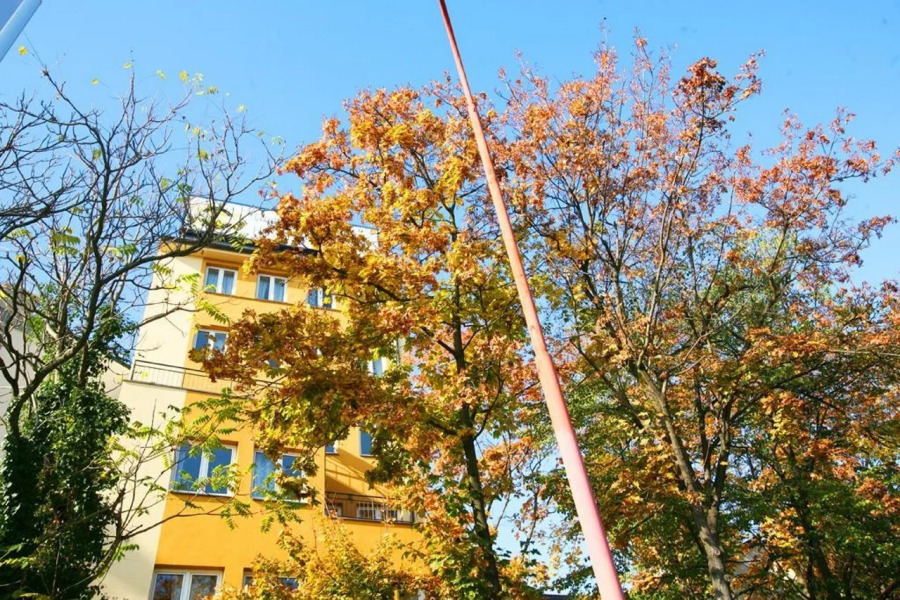 Freddie next to Mercury