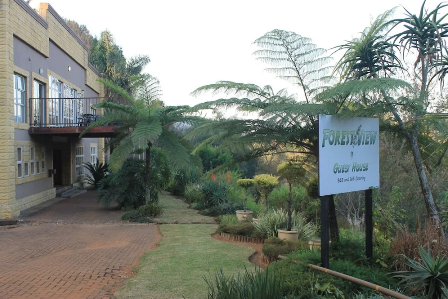 Forest View Guest house
