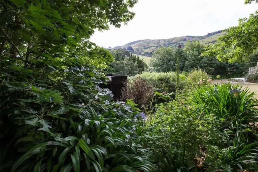 Bellbird Guest Accommodation