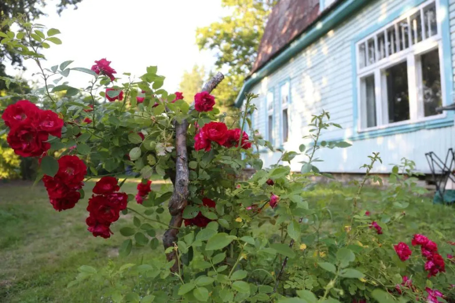 Annenhof Holiday House