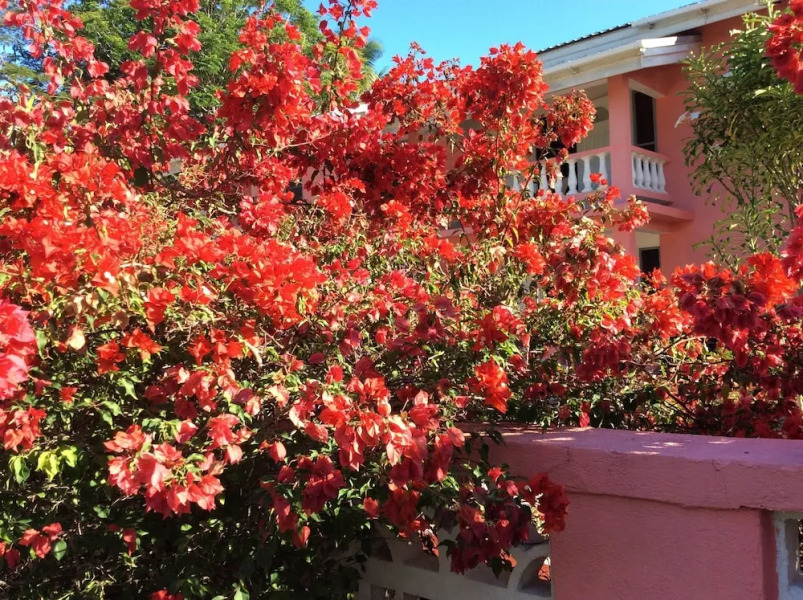 Gentle Breeze Apartments