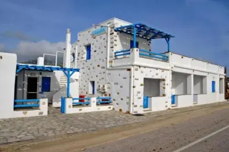 Koralli