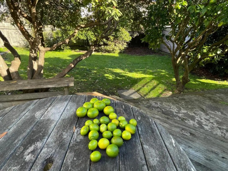 NO PARTY ALLOWED, Peaceful, Spacious, central Petone, free unlimited Fibre Wi-Fi & free parking