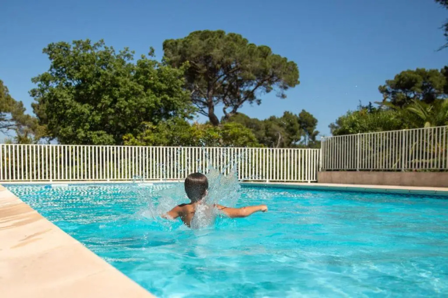 Domaine De La Navicelle - Oiseaux 2