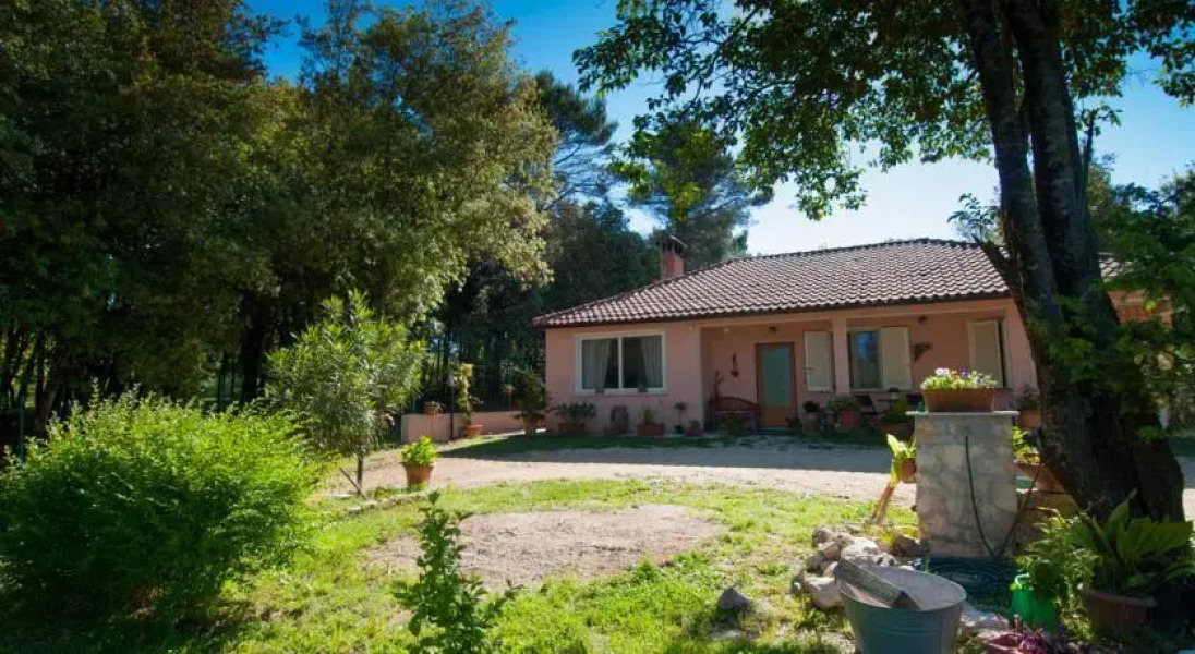 B&B La Casa Nel Bosco