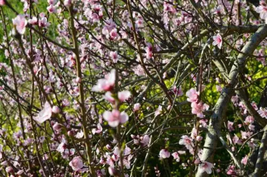 Relais Santa Croce All'Eremo