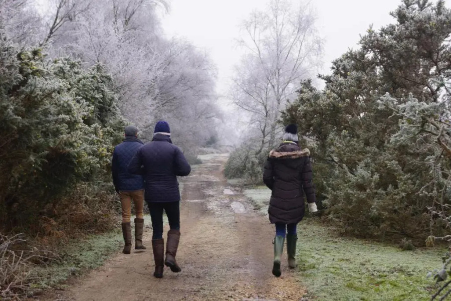 Corner Cottage - character, charm, great location.