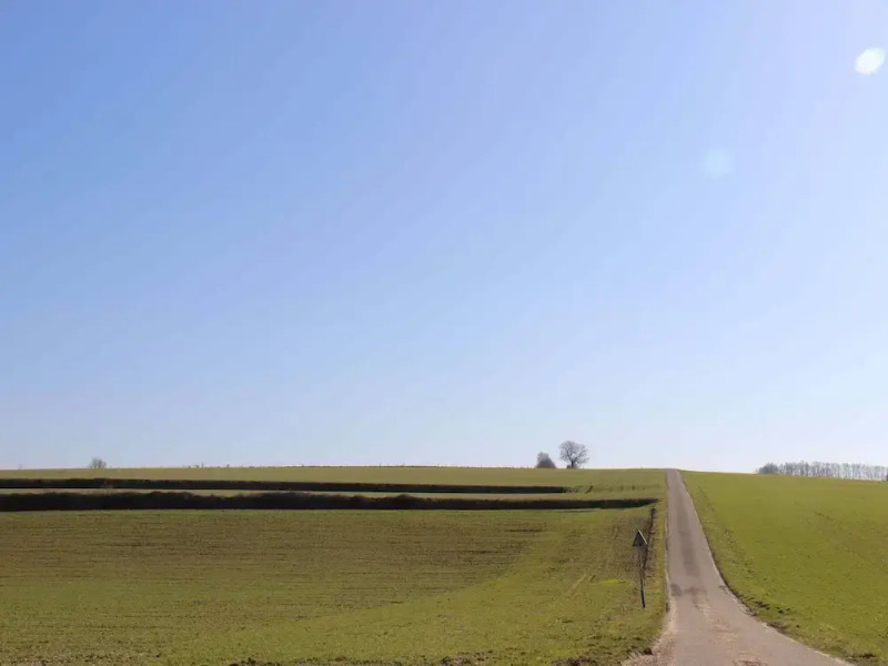 Pet-friendly Country Escape