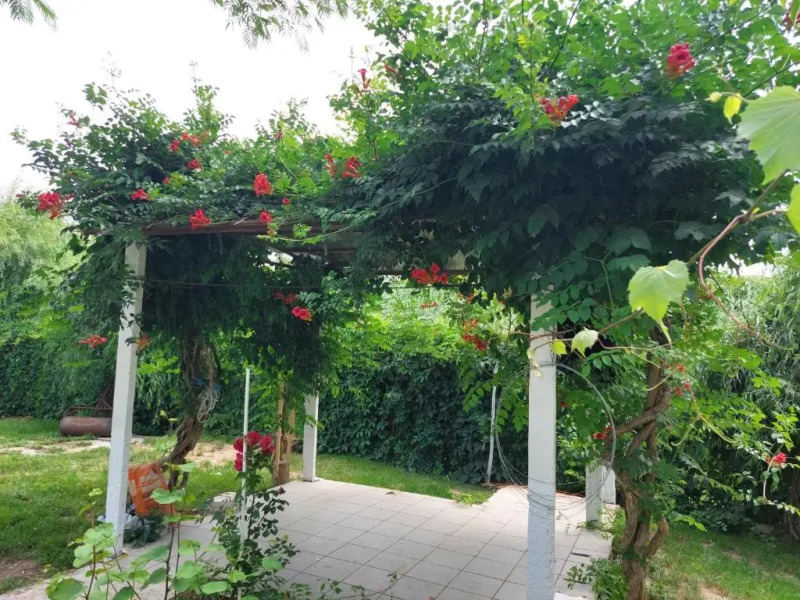 Vila de pe Lac Amara