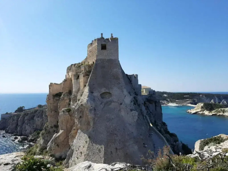 Residenza Gonzaga