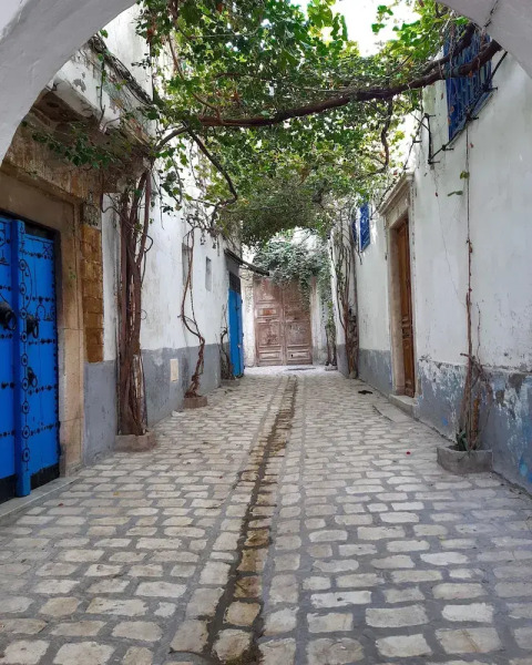 Independent Villa With Private Pool, Covered Parking