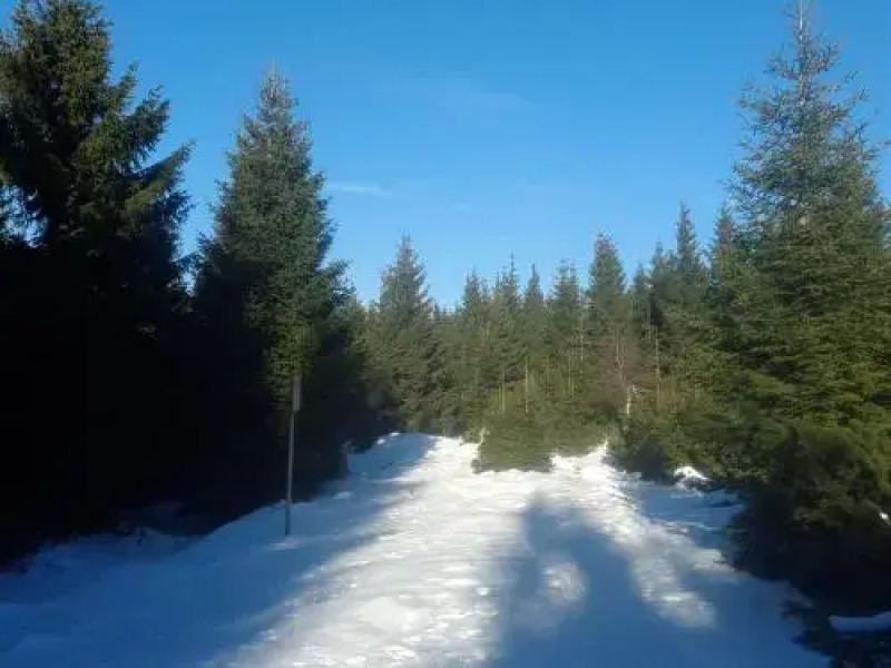 Ubytování - Černá hora II