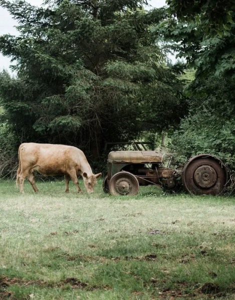 Fossil Beach Farm (Glamping)