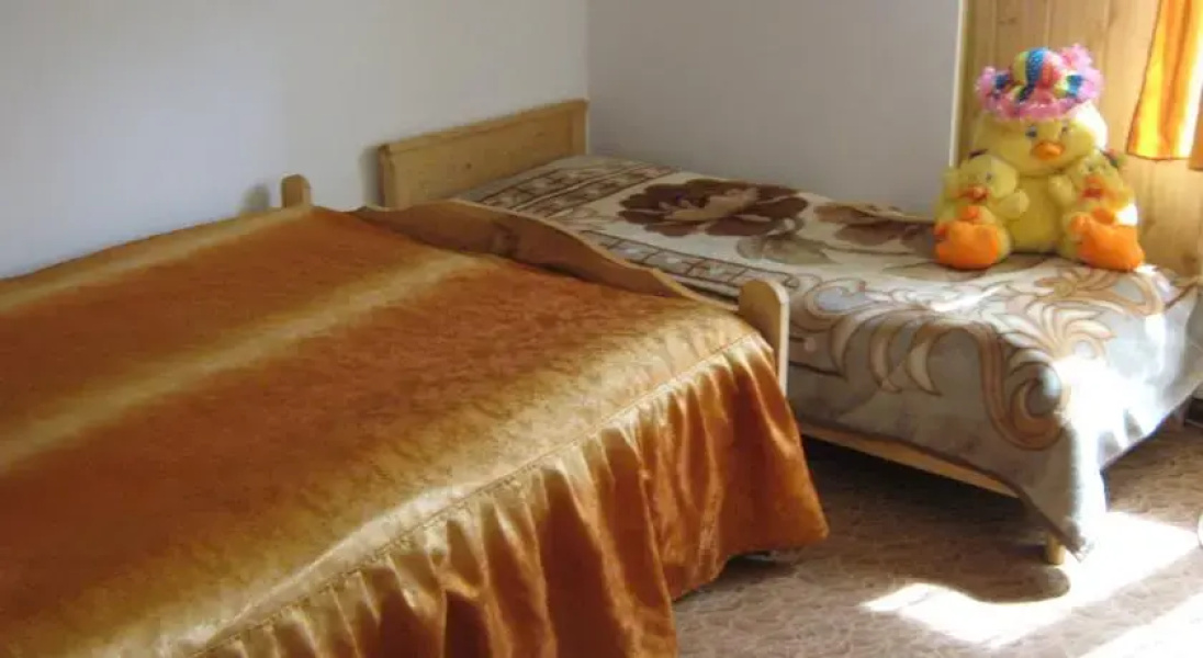 Pension Dor de Bucovina