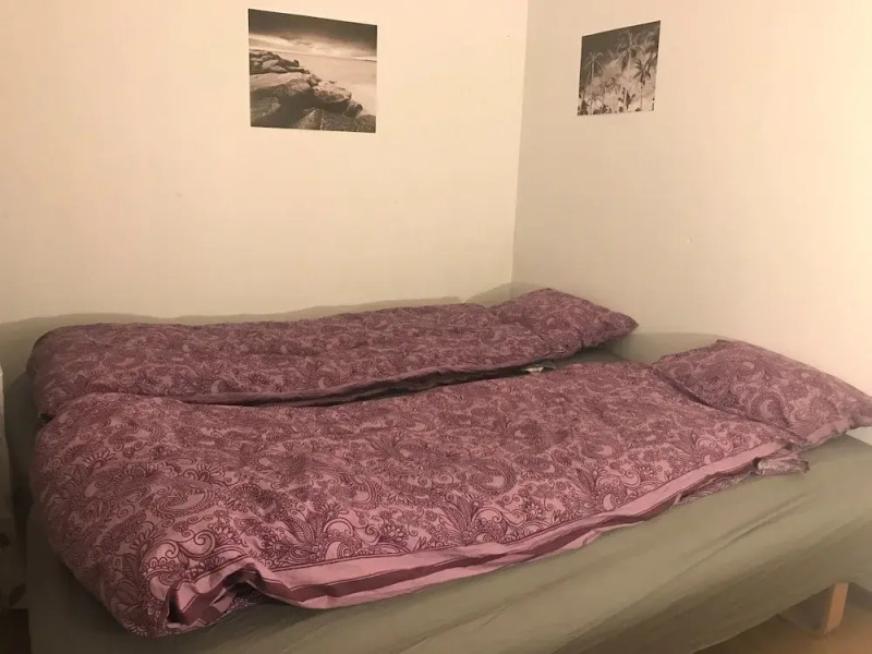 Nordic Borealis House