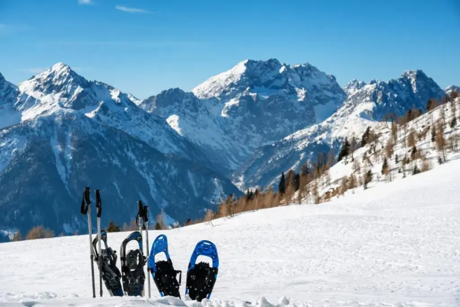 Hauserhof am Goldberg