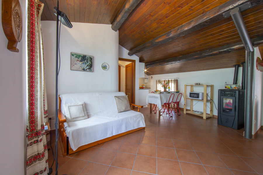 Gelsomino among vineyard