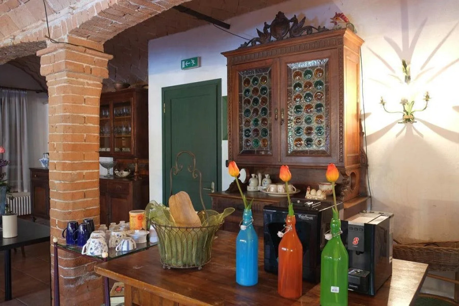 Il prato dei conigli