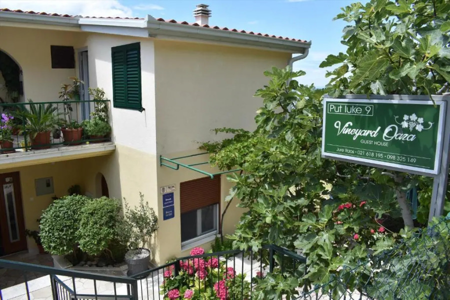 Guest House Vineyard oaza