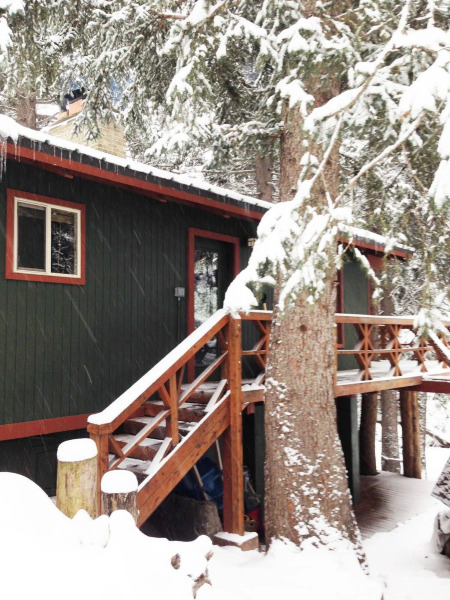Treehouse by the Stream