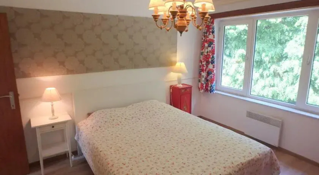 A Sunny and Green Real Home