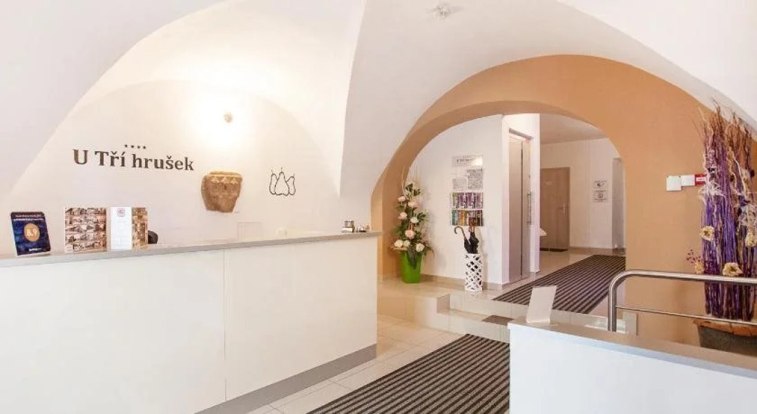 Suites & Apartments U Trí hrusek