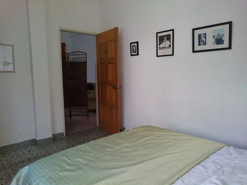 Sea Lion by the Beach