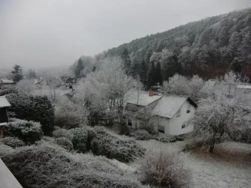 Pension Waldblick
