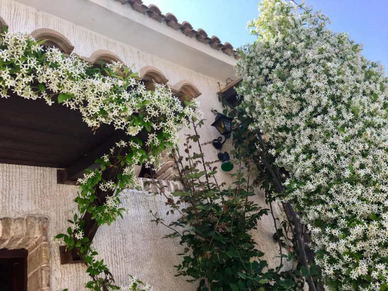 Garden Village Hotel