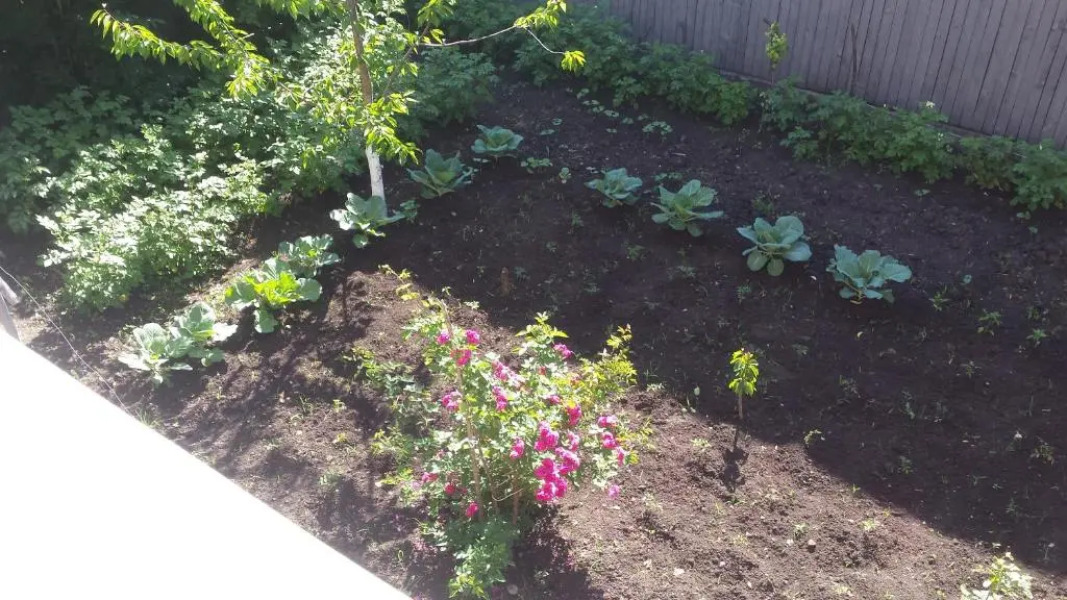 Guest House Metreveli Street 19