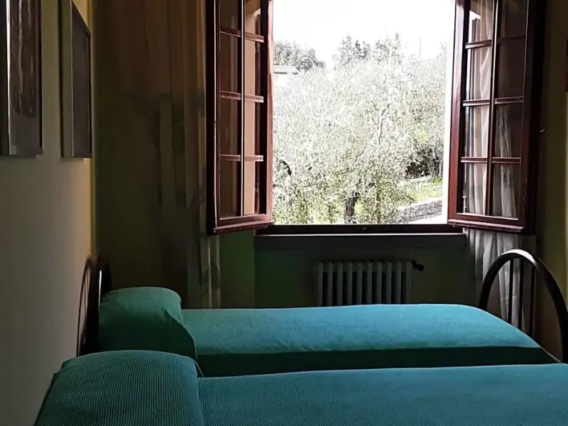 La Collina Degli Olivi