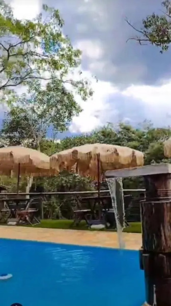 Pousada Canto da Lua -  Macacos