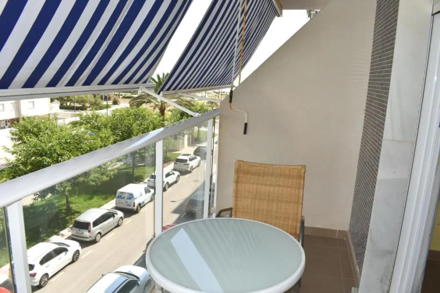 Romántico Daimús 2