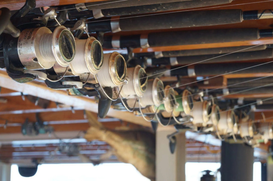 The Rock Adventure Cruise