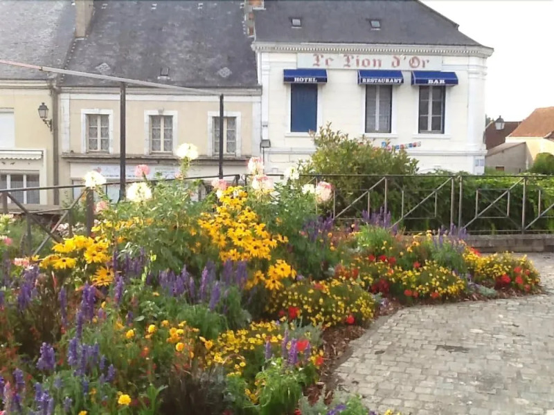 Hôtel le Lion d'Or