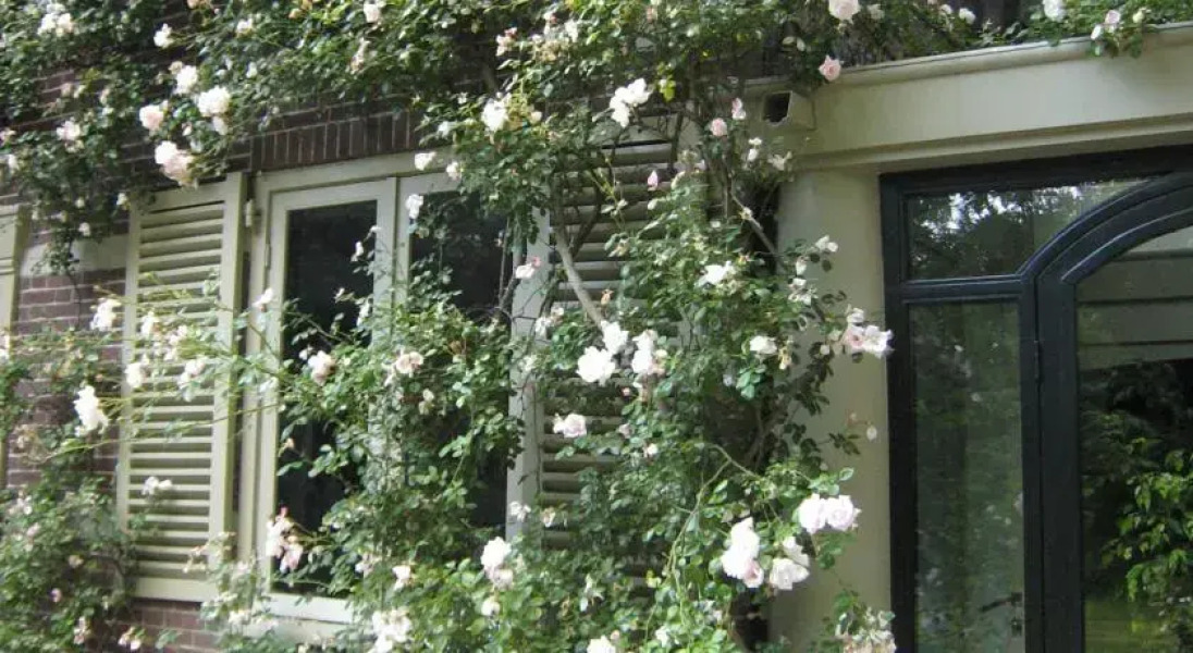 Bed and Breakfast Bohemien