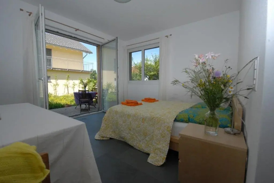 Bio-Studio Königskerze