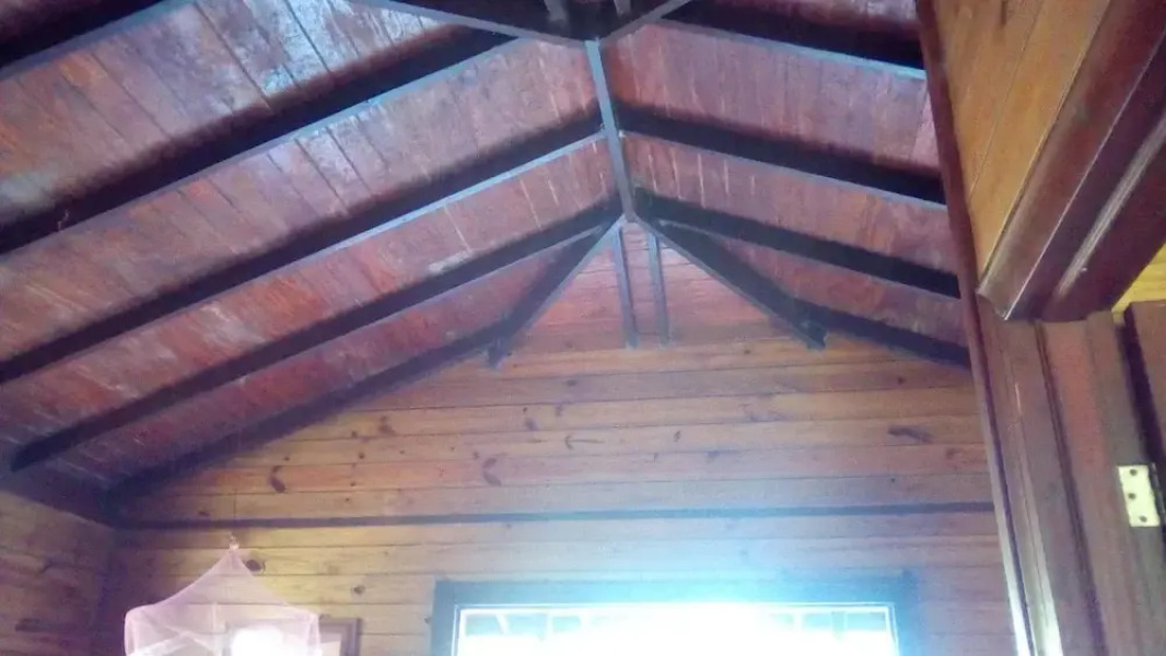 3 Rivers & Rosalie Forest Eco Lodge