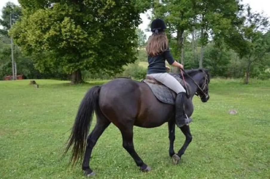 Ośrodek Wypoczynkowy&Restauracja Latarnia Wagabundy