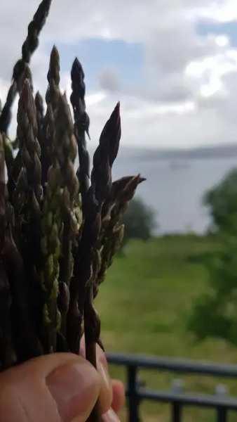 Sea View Apartments Debeli Rtič