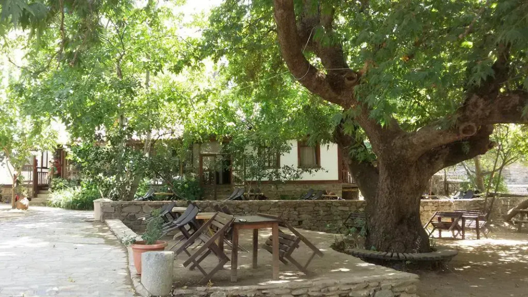 Birgi Cinaralti Pansiyon