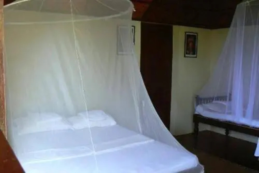 Bio Veda Ayurvedic Hill resort