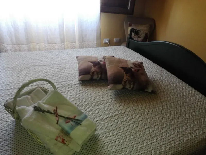 Affittacamere Paradiso