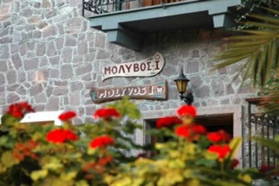 Hotel Molyvos I