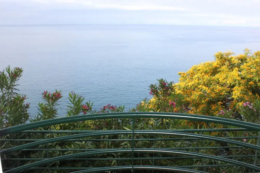 Lobos Bay